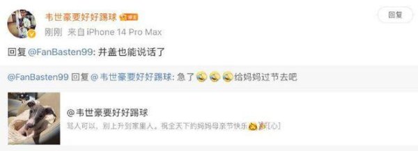 韦世豪场上情绪管理问题分析